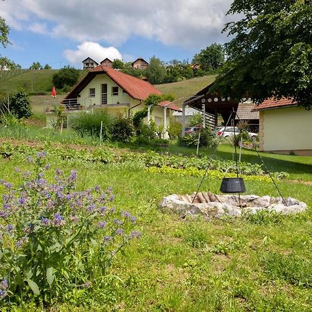 Domacija Vesel Villa Trebnje Exterior photo