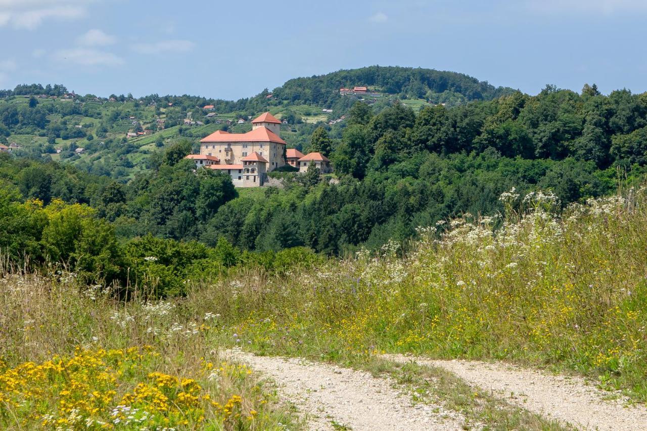 Domacija Vesel Villa Trebnje Exterior photo