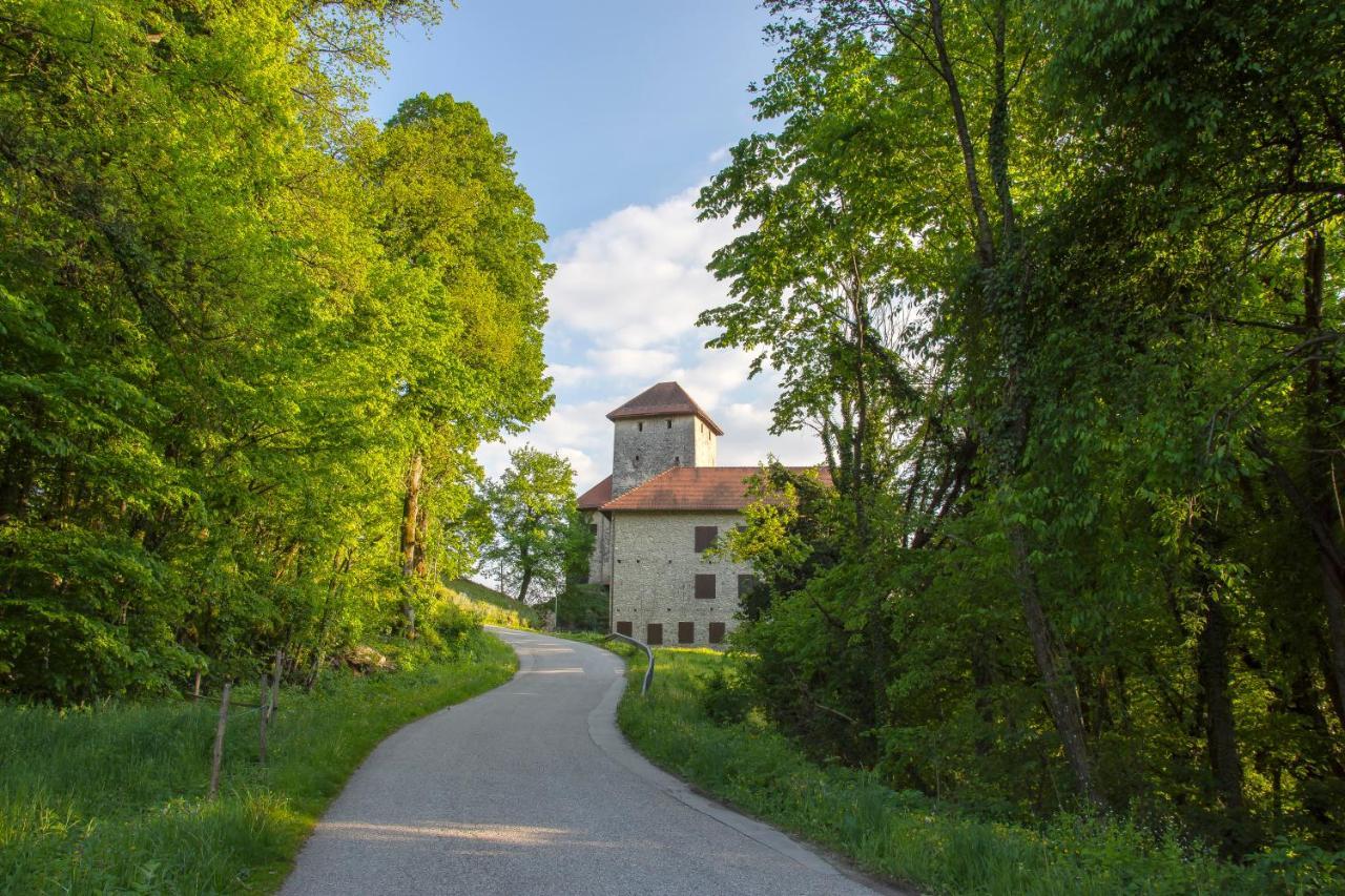 Domacija Vesel Villa Trebnje Exterior photo