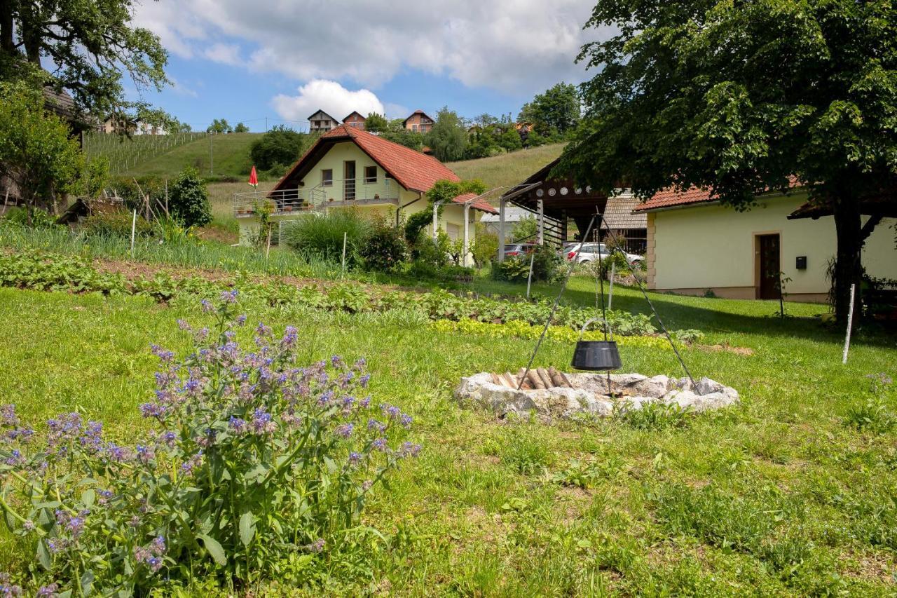 Domacija Vesel Villa Trebnje Exterior photo